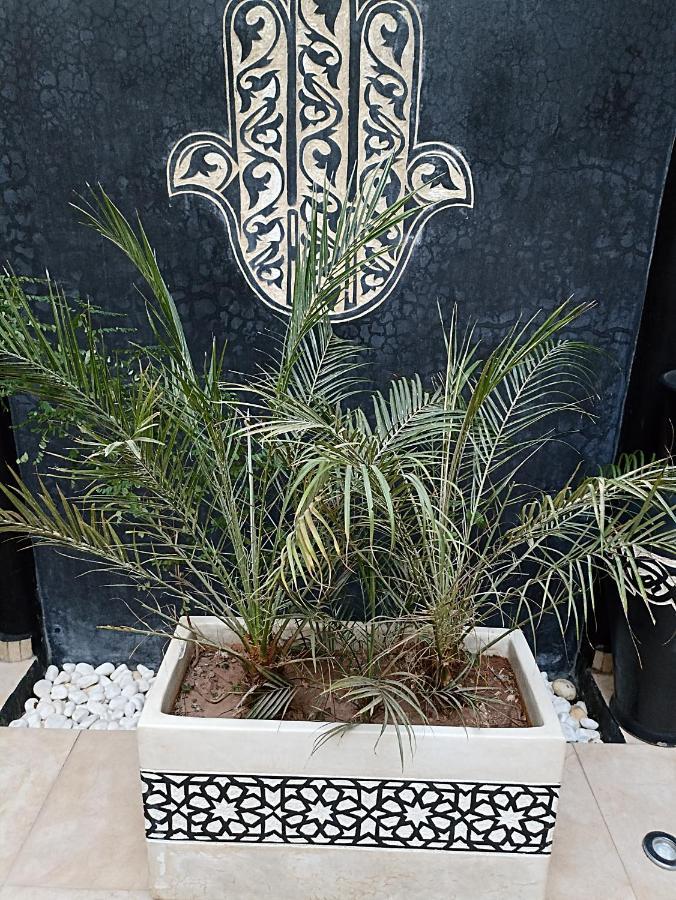 Riad Excellence Marrakesh Esterno foto